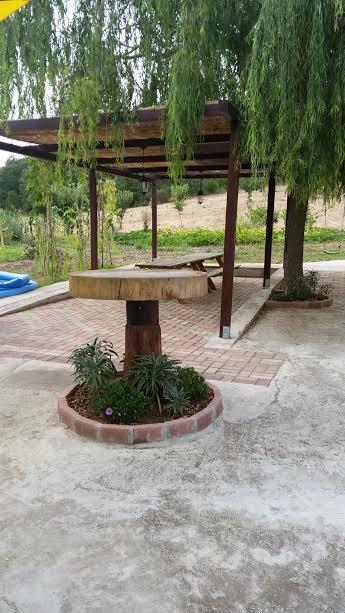 Dal Biondo Bed & Breakfast Dogliola Ngoại thất bức ảnh